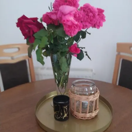 Apartman Babic *